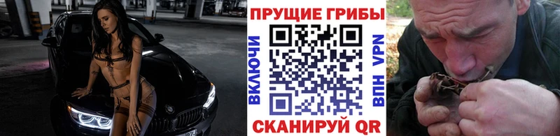 сайты даркнета какой сайт  Морозовск  Псилоцибиновые грибы мицелий  купить закладку 